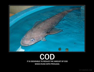 It is desirable to reduce the amount of cod which runs with privilege.
